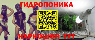 mix Кингисепп