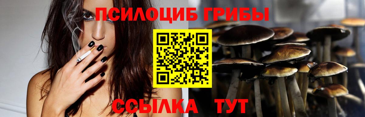 дарнет шоп  Галлюциногенные грибы мухоморы  Вход с VPN  Псилоцибиновые грибы Magic Shrooms  Владимир 